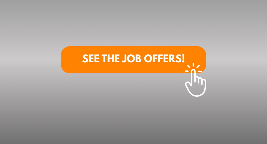 Recruitment for junior IT positions