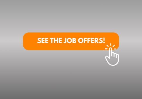 Recruitment for junior IT positions