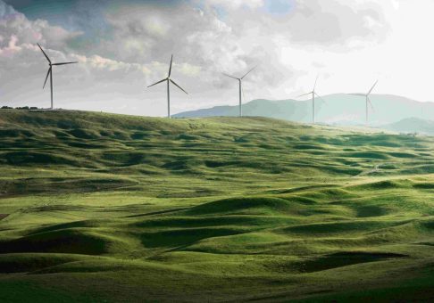 Enhancing Efficiency of the World’s Leading Carbon Removal Platform with Data Automation
