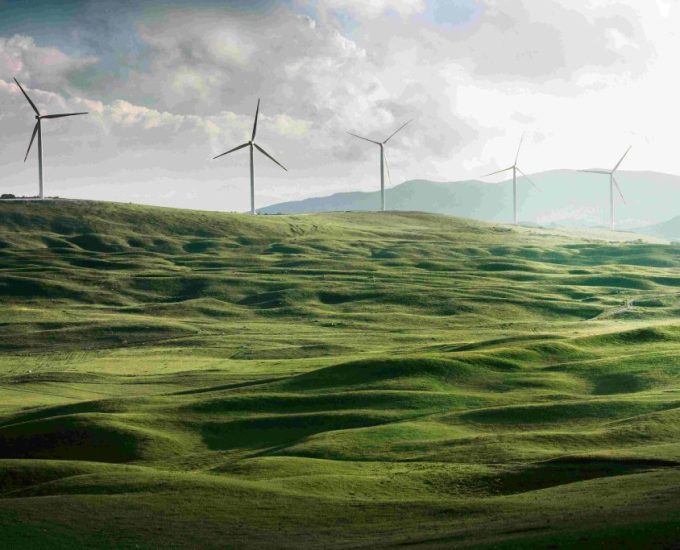 Enhancing Efficiency of the World’s Leading Carbon Removal Platform with Data Automation