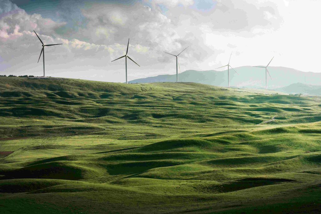 Enhancing Efficiency of the World’s Leading Carbon Removal Platform with Data Automation