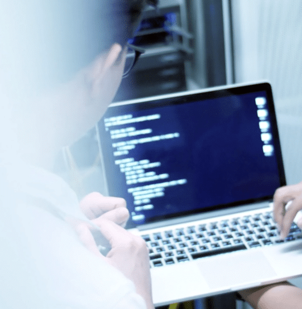 Which programming languages are the most future-oriented and popular?