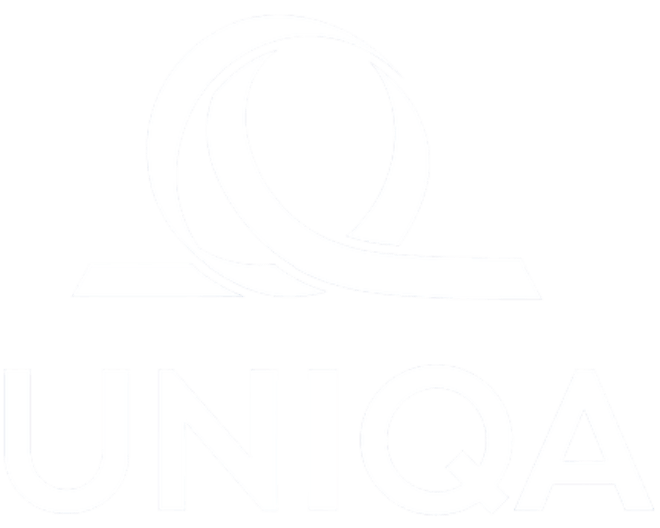Smooth System Integration and Migration for a Leading Insurance Group